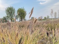 -汉长安城未央宫国家考古遗址公园