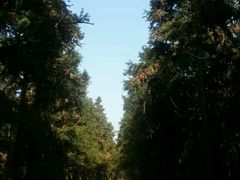 -象山森林公园