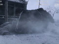 -CGV影城(源著IMAX店)