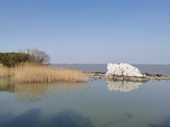 -上海吴淞炮台湾国家湿地公园