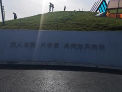 -荷兰花海