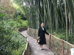 -汇龙潭