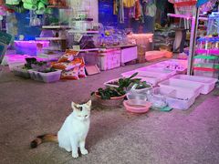 -双季花艺园艺市场(浦东店)