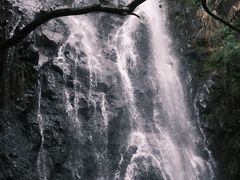 -马峦山郊野公园