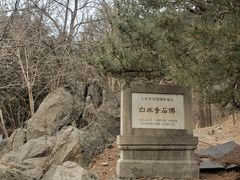 -白水寺森林公园