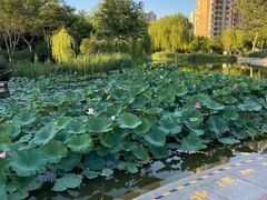 -南翠屏公园