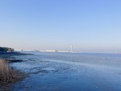 -上海吴淞炮台湾国家湿地公园