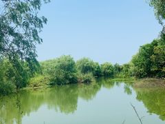 -长兴太湖图影湿地文化园