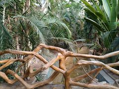 -龙达温泉生态城