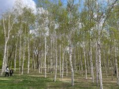 -长春市南湖公园