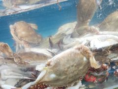 -港畔赶海蒸汽海鲜烧烤自助(仙螺岛店)