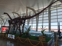 -银川河东国际机场