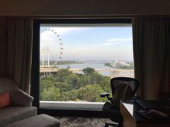 -新加坡文华东方酒店