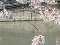 -红星桥(地铁站)