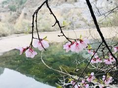 -叠溪松坪沟景区