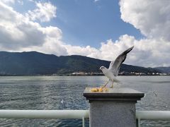 -海埂大坝