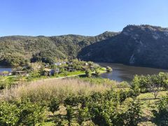 -曲氏老北京铜锅涮肉•火锅(不老街店)