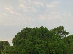 -昆山城市生态森林公园