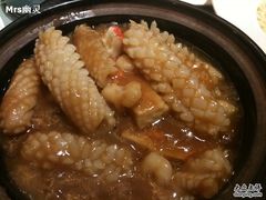 石窝海鲜豆腐-御花园·粤菜·海鲜火锅(中山公园店)