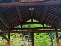 -灵溪风景区
