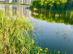 -闵行春申文化广场