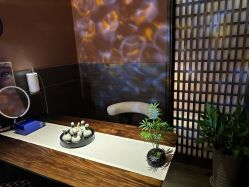 -励美科技美容SPA
