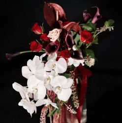 -明典婚礼策划·婚车租赁·婚纱摄影