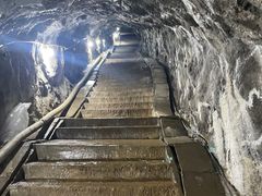 -地心探险极地