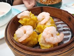 鲜虾虫草花干蒸-喜势点·糖沙翁手工茶点·本地人茶居(永庆坊店)