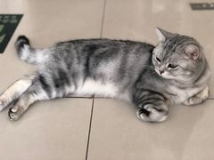 -平行世界·猫咖(首经贸店)