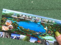 -安徽大青山野生动物世界