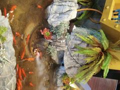 -小天鹅火锅·一线江景洪鼎旗舰店(洪崖洞店)