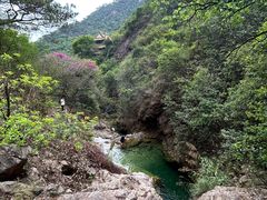 -南海湾森林生态园