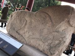 -茂陵博物馆