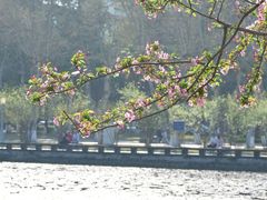 -四川大学(望江校区)