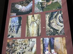 -秦始皇帝陵博物院(兵马俑)