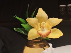 -许家菜.艺创菜(仁和新城店)