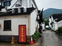 -树山生态村