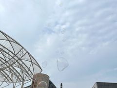-琴岛之星摩天轮