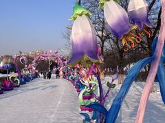-沈阳奥体冰雪嘉年华