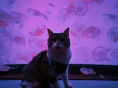 -沈阳海洋探索中心