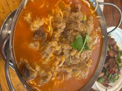 -老雒阳面馆·水席·洛阳菜(纱厂路店)