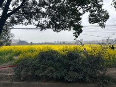 -三圣花乡旅游区