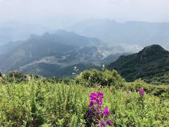 -白草畔自然风景区