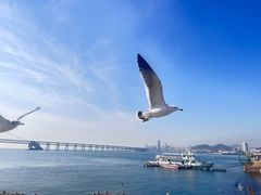 -星海广场