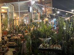 -席娜卡琳火车铁道夜市