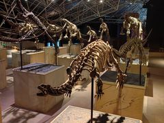 -世界恐龙谷景区