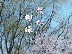 -元大都城垣遗址公园