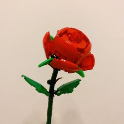 -乐高授权专卖店(新北万达店)