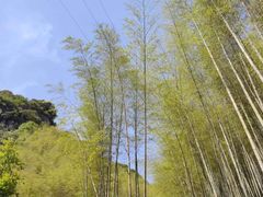 -五泄景区
